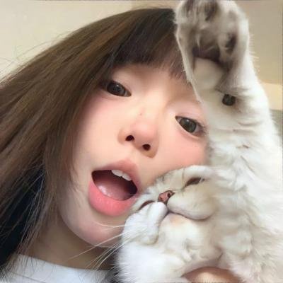 虎侠